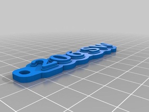 206 sw keyring keychains customized 3d print model - Mito3D