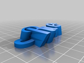 la rae organización personalizado 3d print model - Mito3D