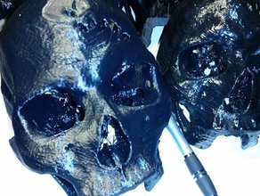 cráneo humano escanear biología chris 3d print model - Mito3D