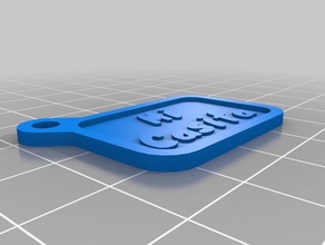 my customized crossing out label key-chain keychains 3d print model - Mito3D