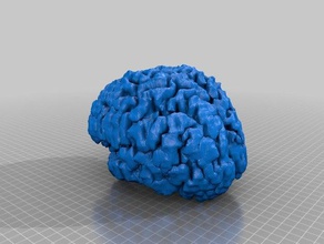 mon cerveau biologie 3d print model - Mito3D