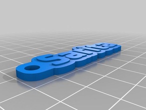 sarita etiqueta llaveros personalizado 3d print model - Mito3D