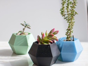 hexagon succulent planter containers 3d print model - Mito3D