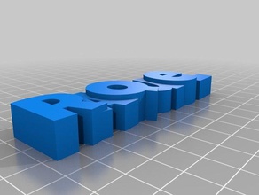 raquel luckyest guy organization customized 3d print model - Mito3D
