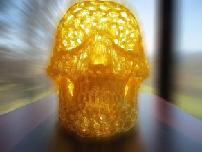 skull voronoi decor lamp 3d print model - Mito3D