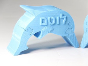 dolphin secret puzzle box animals 3d print model - Mito3D
