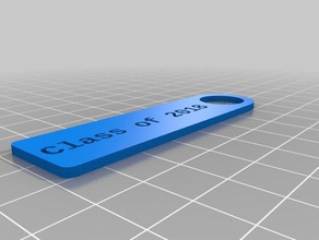 sınıf 18 Anahtarlık organizasyon özelleştirilmiş 3d print model - Mito3D