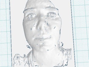 my face 2 3d printing 3d print model - Mito3D
