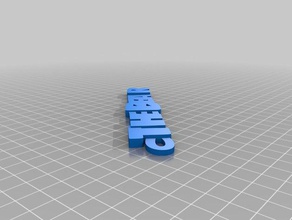 urso de sigmar organização personalizado 3d print model - Mito3D