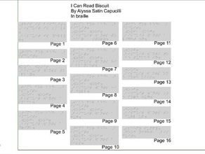 bisküvi braille kartları okuyabilir diğer 3d print model - Mito3D