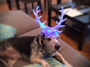christmas antlers 3d printing illumination led lights pet puppy sculpture 3d print model - Mito3D