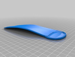 mon pied droit d'autres personnalisé 3d print model - Mito3D