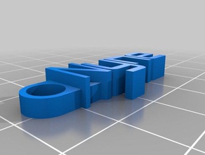 nyneychain organizzazione personalizzato 3d print model - Mito3D