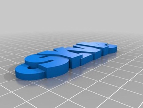 sylvie luckyest guy organization customized 3d print model - Mito3D