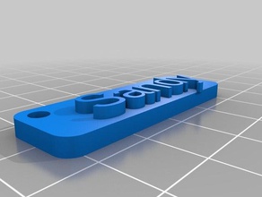 sandy llavero sinais logotipos personalizado 3d print model - Mito3D