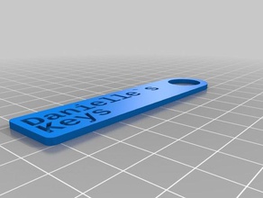 danielle personalizzato simplekey tag organizzazione 3d print model - Mito3D