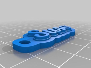 susotag keychain keychains customized 3d print model - Mito3D