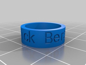 nick new rings customized 3d print model - Mito3D