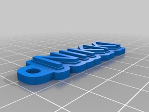 nikki llaveros personalizado 3d print model - Mito3D