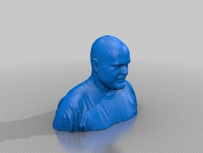 steve loughran sculptures 3d print model - Mito3D