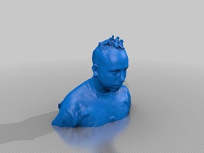 luke mcomie Skulpturen 3d print model - Mito3D
