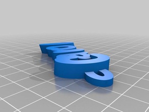 pingente carol organização personalizado 3d print model - Mito3D