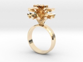 feux d'artifice de l'anneau bijoux 3d print model - Mito3D