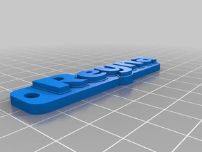 my customized multiline tag keychain reyna keychains 3d print model - Mito3D