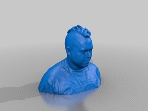 sam stelfox sculptures 3d print model - Mito3D