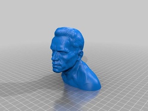arnold schwarzenegger bust people does he do face film get da choppa head ill back its not tumor movie prop mustangdave put cookie down sculpt sculpture t800 terminator your daddy 3d print model - Mito3D