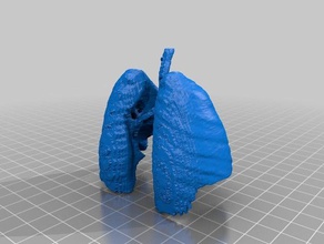 akciğerler modelleri 3d print model - Mito3D