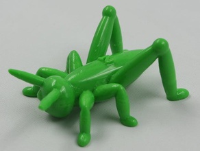 nt sauterelle insectes les jouets jeux animal animaux nikoss 3d print model - Mito3D
