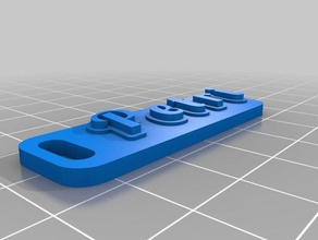 petri 001 keychains customized 3d print model - Mito3D