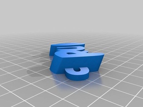 paula organización personalizado 3d print model - Mito3D