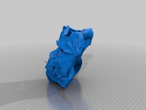 mon scan 18 les analyses des répliques makerbotdigitizer 3d print model - Mito3D