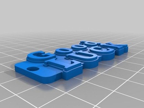 mi etiqueta de la buena suerte llaveros personalizado 3d print model - Mito3D
