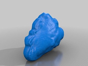 gescannt cloud Skulpturen 3d print model - Mito3D