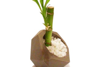 bonny&acutes planter household supplies bamboo decoration gray planters zortrax 3d print model - Mito3D