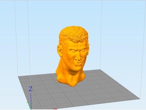 masculino busto esculturas 3d print model - Mito3D