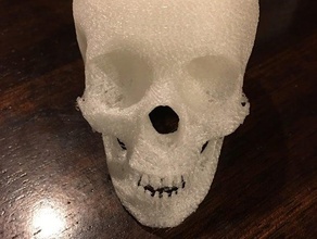 crâne d'ornement 3d l'impression 3d print model - Mito3D