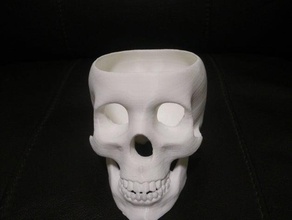 skull planter decor office organisation 3d print model - Mito3D