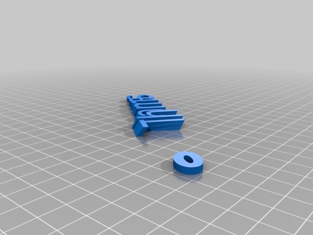 mon personnalisés iamburnystext nom trousseau de clé organisation 3D print model - Mito3D