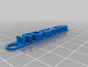 2 mykeychain organizasyon özelleştirilmiş 3d print model - Mito3D