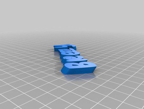 my customized iamburnystext name keyring keyfob organization 3d print model - Mito3D