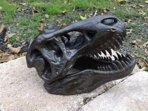 t-rex skull wood grain animals trex 3d print model - Mito3D
