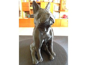 bulldog francés sentado como jefe las esculturas orejas grandes 3d print model - Mito3D