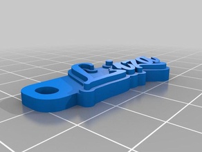 liza de porte-clés personnalisé 3d print model - Mito3D