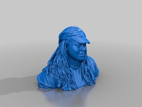 senhora da nikon esculturas 3d print model - Mito3D