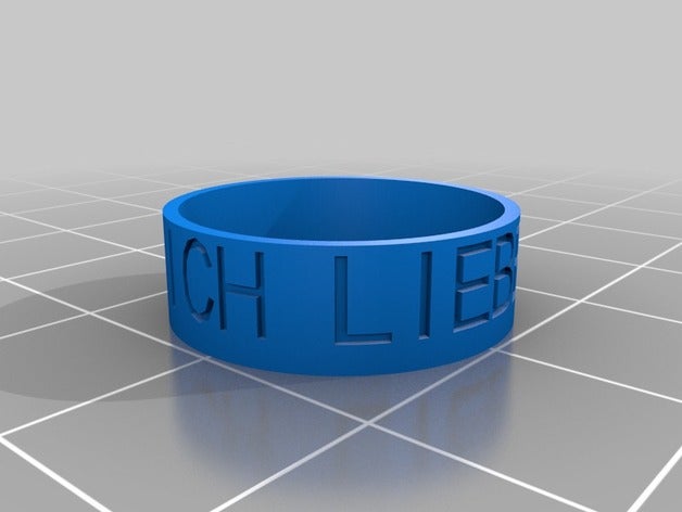 ii les anneaux personnalisé 3D print model - Mito3D