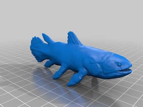 coelacanth animals 3dmodel 3d printer printing ancient dino dinosaur fish fossil historical history livingfossil prehistoric sculpture 3d print model - Mito3D